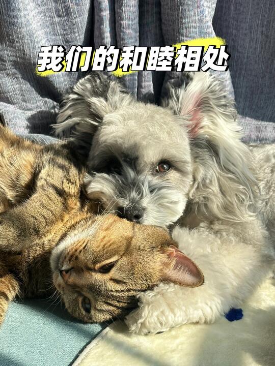 咱也不是天天打架的