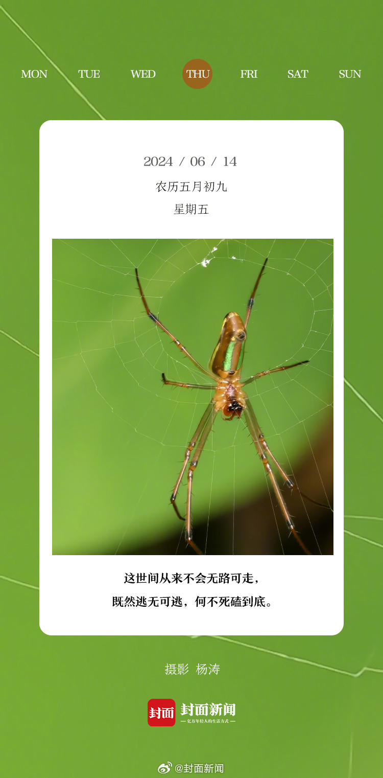 #小封日历# 早安！周五啦~起床的举手[举手] ​​​