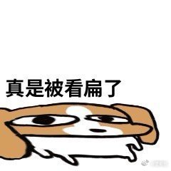 当今社会的狗窝能有多炸裂不刷不知道，一看真的大开眼界。说到底狗窝只是狗狗的落脚地