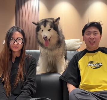 一对小夫妻结婚多年不生孩子，长年累月把狗当儿子养，还发各种视频到网上炫耀“一家三
