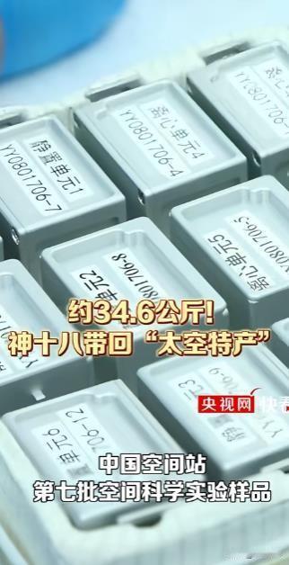 神舟十八号顺利返回，带回34.6公斤“太空特产”

2024年11月4日，神舟十
