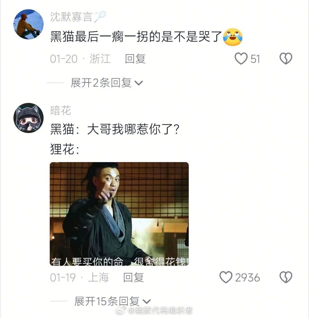 猫咪追杀令原来是真的 （