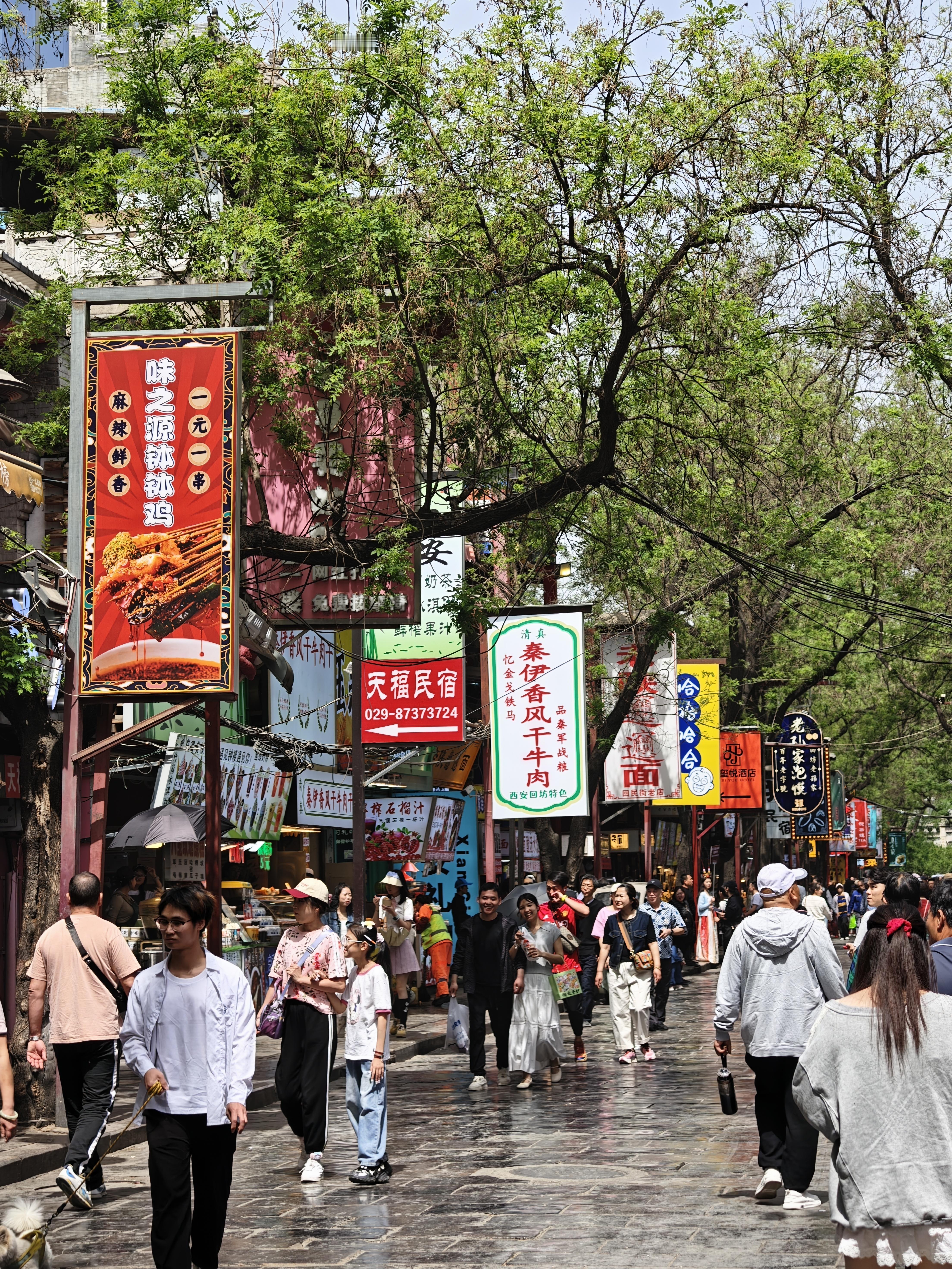 OPPO用户很幸福，能把自己拍的照片自己亲眼看到的HDR效果在微博与所有人分享，