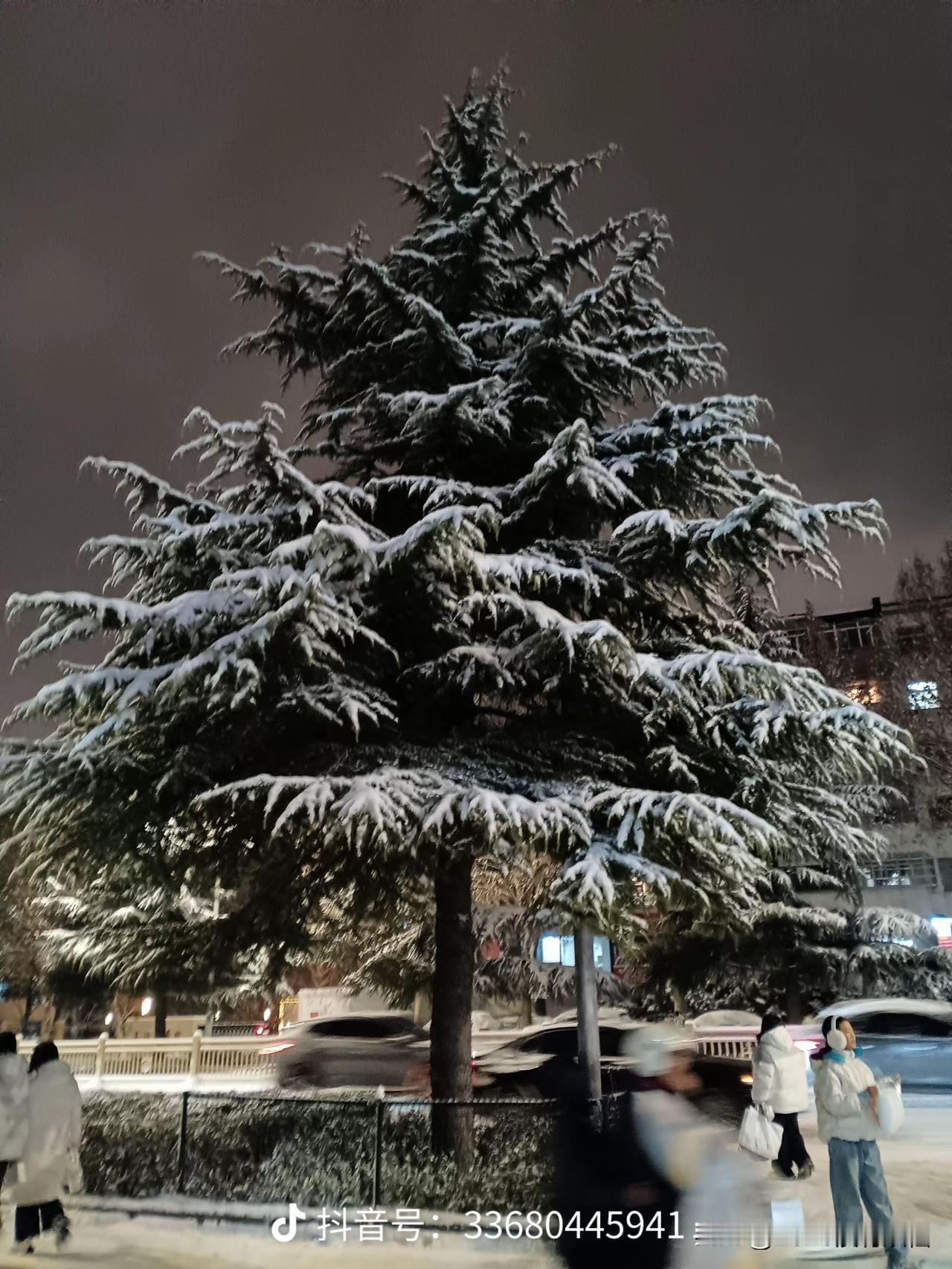 雪下的那么大，心也那么冷