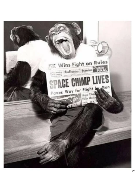 第一只从太空活着回来的猩猩，后来咋样了？