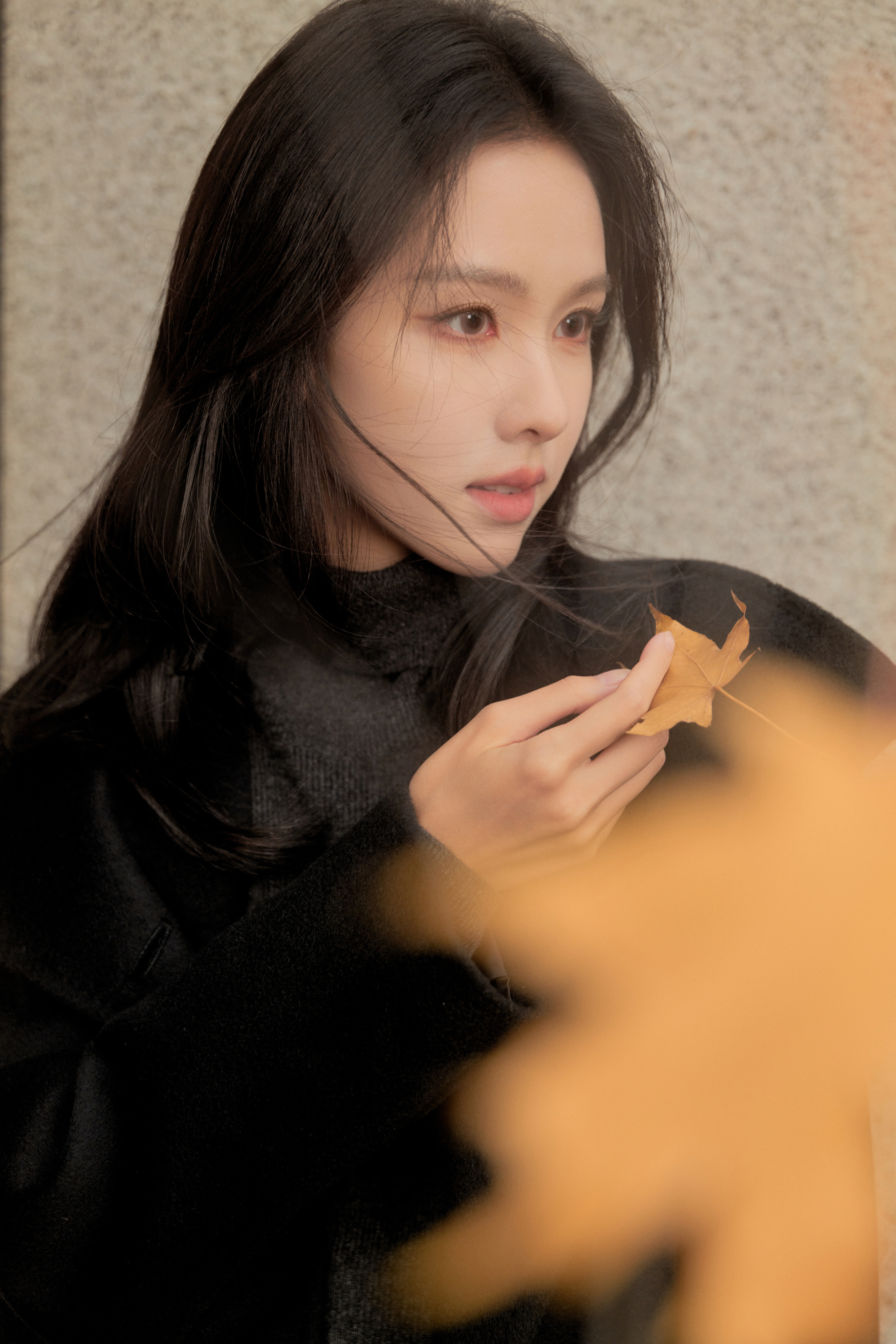 陈都灵[超话] 凉风衔信，一叶知秋。漫步街头，与秋意擦肩，进行一次温柔会晤。​​