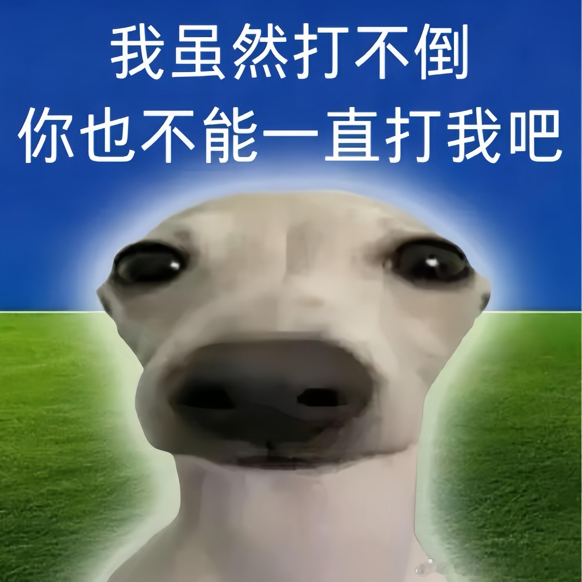 大眼，你把tjt还给我！还给我！还给我！没rmt也没tjt每天累的要死了！ 
