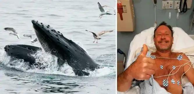 2021 年，美国潜水员在海底捕捉龙虾，却被 15 米长的座头鲸整个吞下，就在这