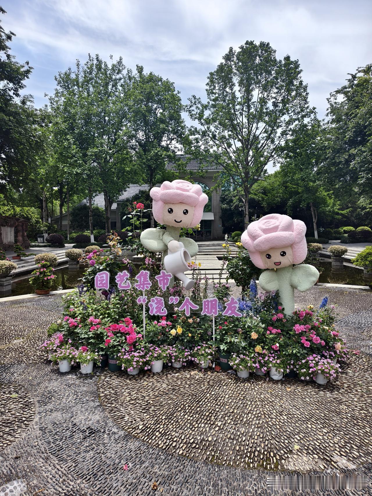花美花香迷人醉
杭州花圃公园美景，自行拍摄