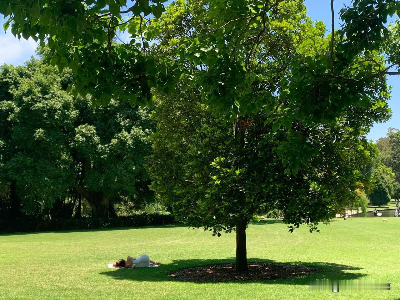 人小鬼大:《喝水还是喝尿》
昨天晚上小家伙从幼儿园回来后，给她爸爸出了一道题，让