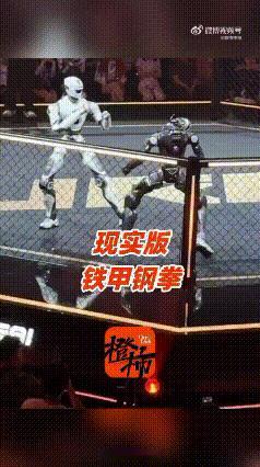 马斯克也好八卦啊[我想静静]！深圳举办了全球人形机器人格斗联赛，国内外超200支