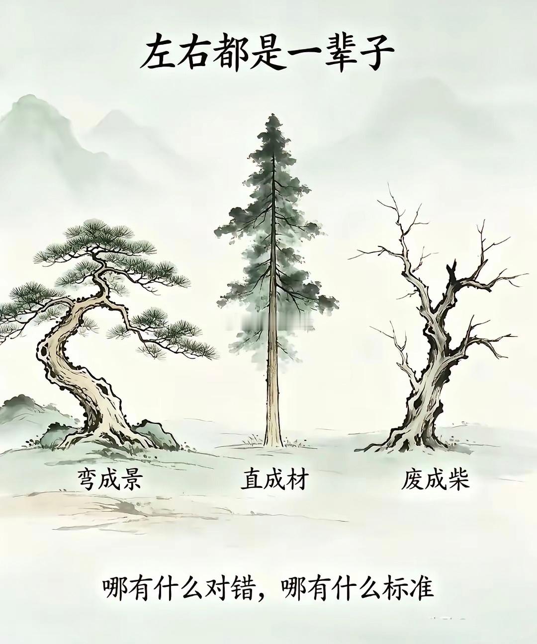 直木成材，曲木成景，枯木为柴，万物各有价值，众生各有活法。人生应随心而行，自在生