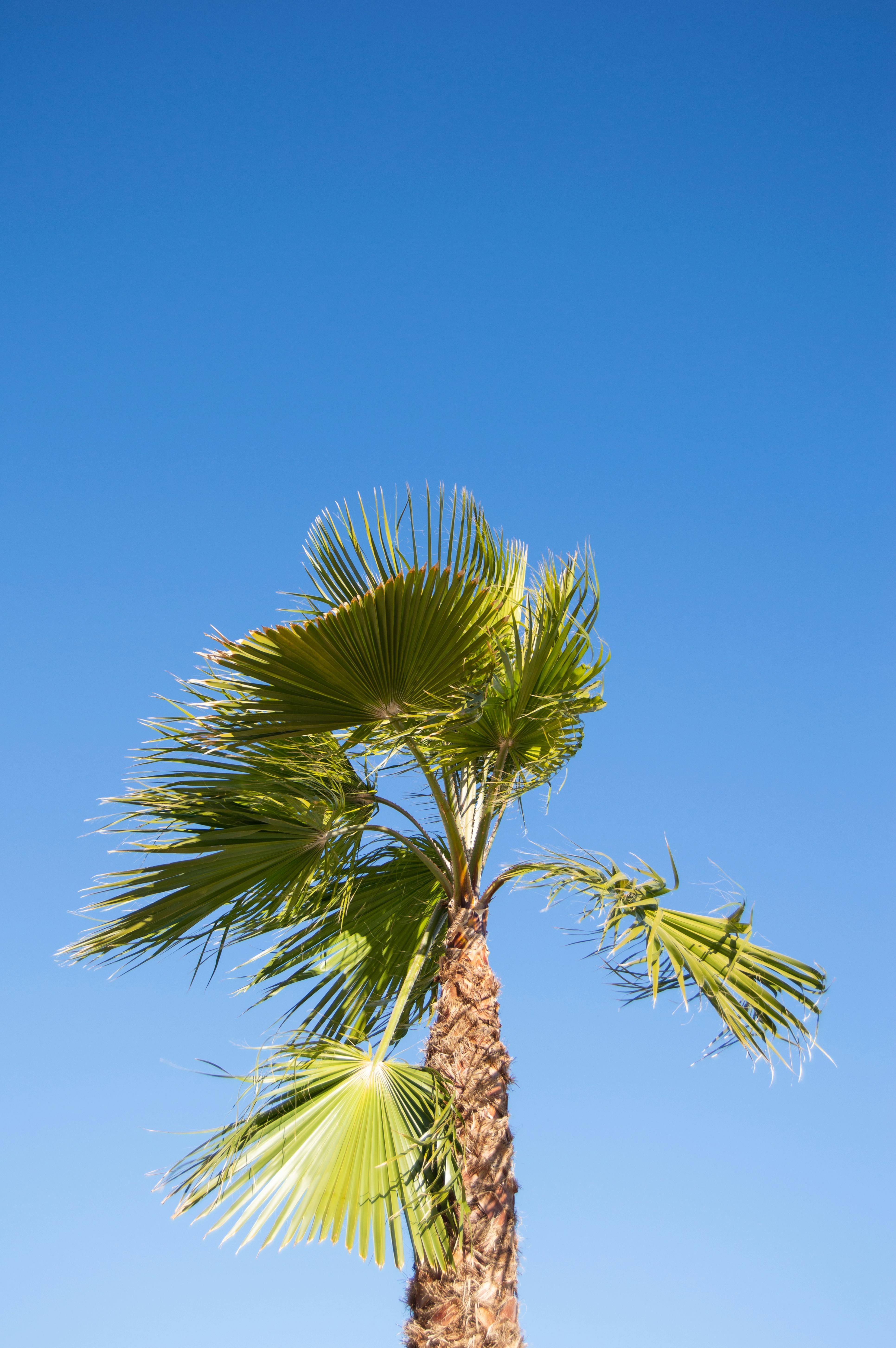 20240423日运指南丁巳日昨天在日课预报里面提过了今天的好和不好。不过单论日