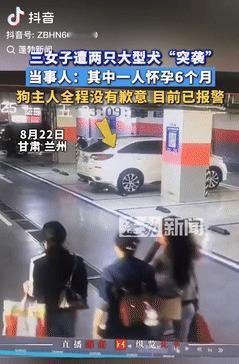 严惩不贷！甘肃兰州，三女子去地下车库取车，突然，有只大狗朝她们冲了过来，吓得两名