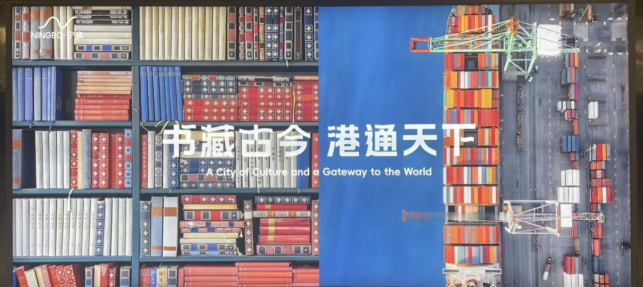 思来想去还是想发这一篇微头条，这段时间我关注宁波那个事儿，现在处理方案出来了，不