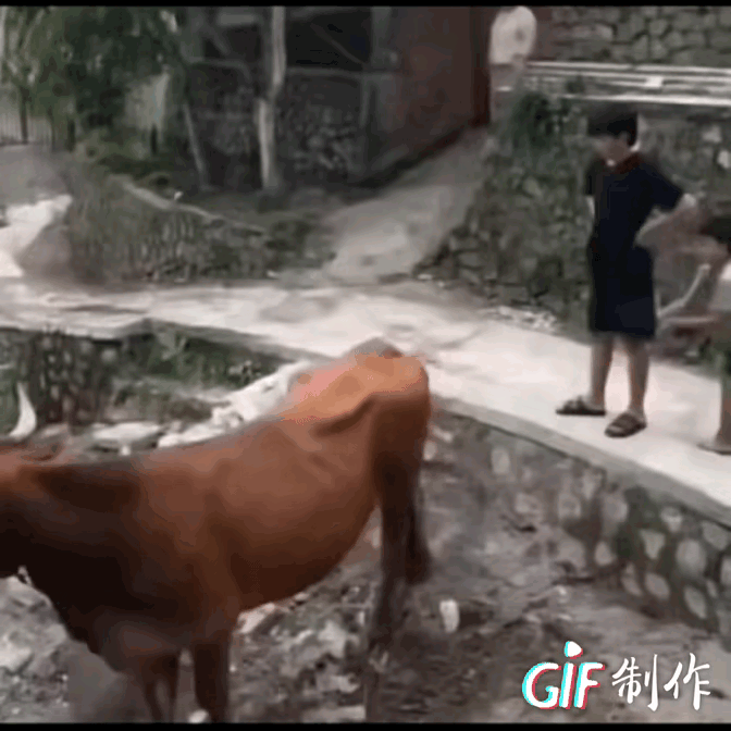 这个小男孩也太调皮了，如果家长不严加管教的话，长大后容易捅更大的娄子，当家长的千