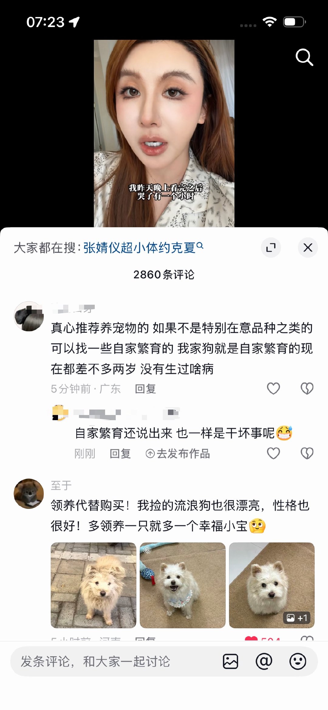 哇哦好伟大！omg！ 