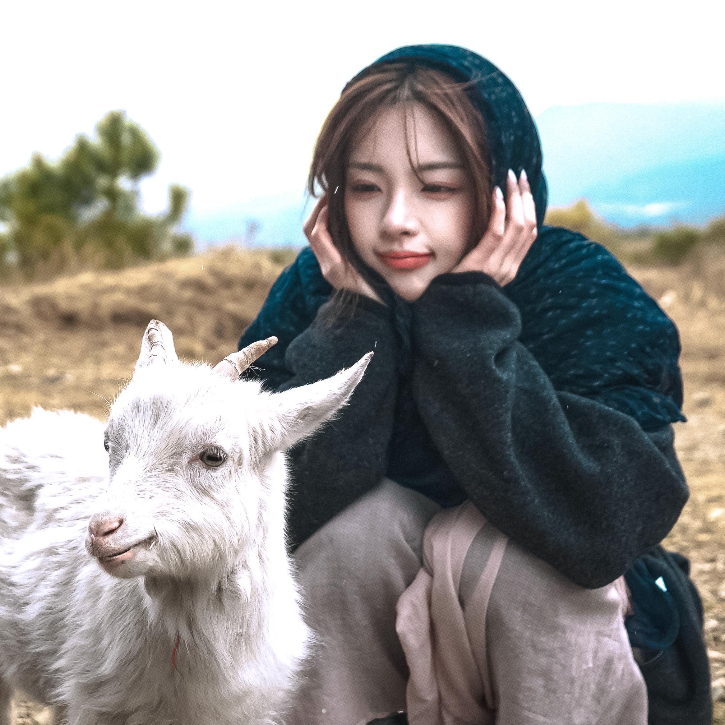 小羊连连看꒰ᐡ｡..̫.｡ᐡ꒱杨超越*头像 杨超越