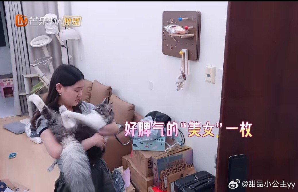邵子恒被张家齐的猫吓了一跳进门即坦白恐惧：邵子恒看到张家齐家中有猫后，反应相当真