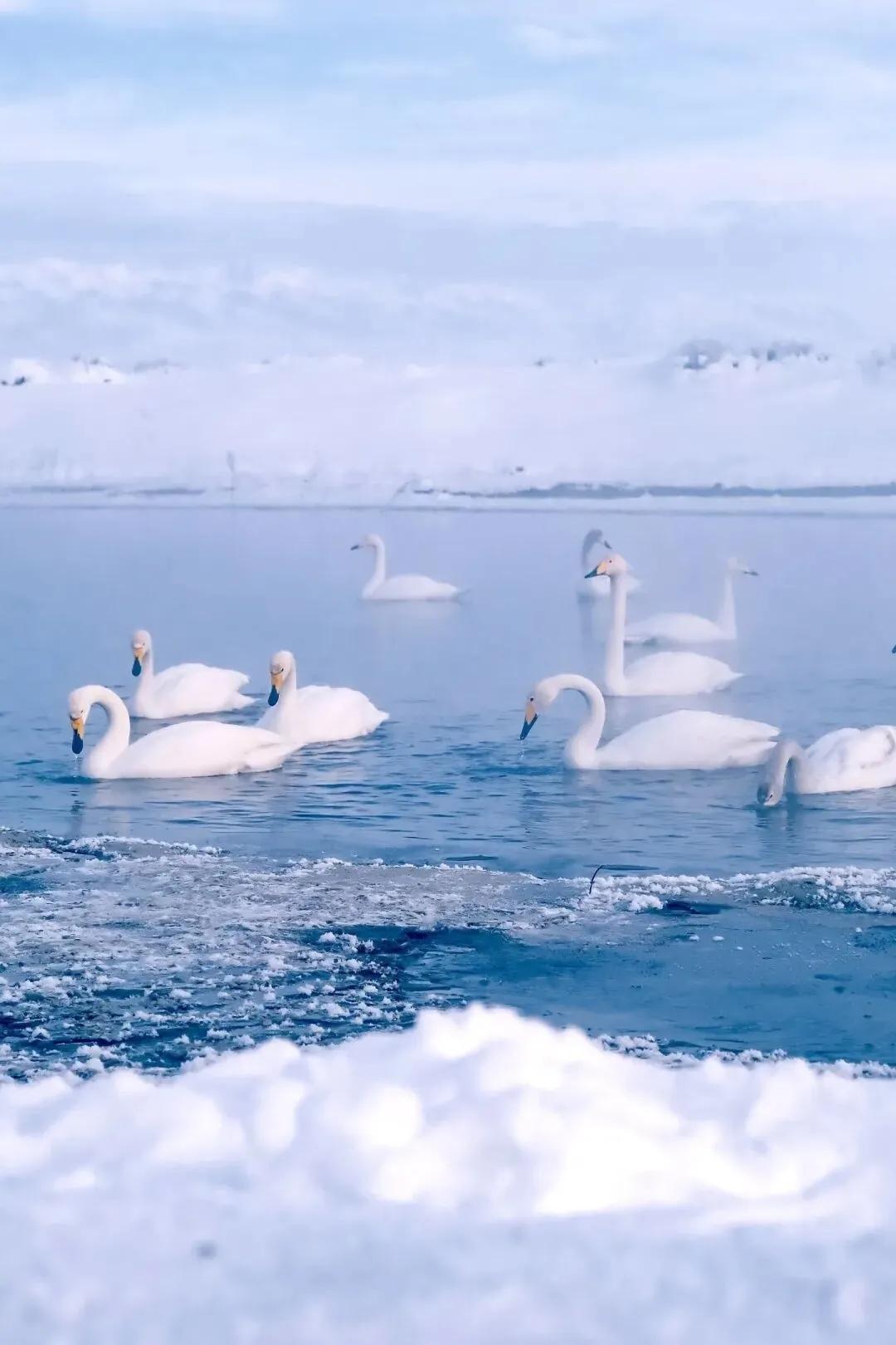 【人生就像卫生纸，没事尽量少扯】
        “人生就像卫生纸，没事尽量少扯