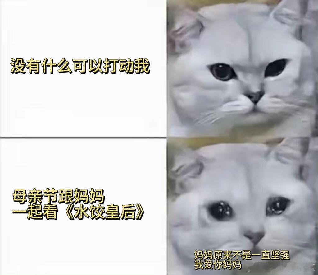 水饺皇后妈妈也不是一直坚强 被《水饺皇后》里妈妈的爱狠狠破防！她把所有苦难自己咽