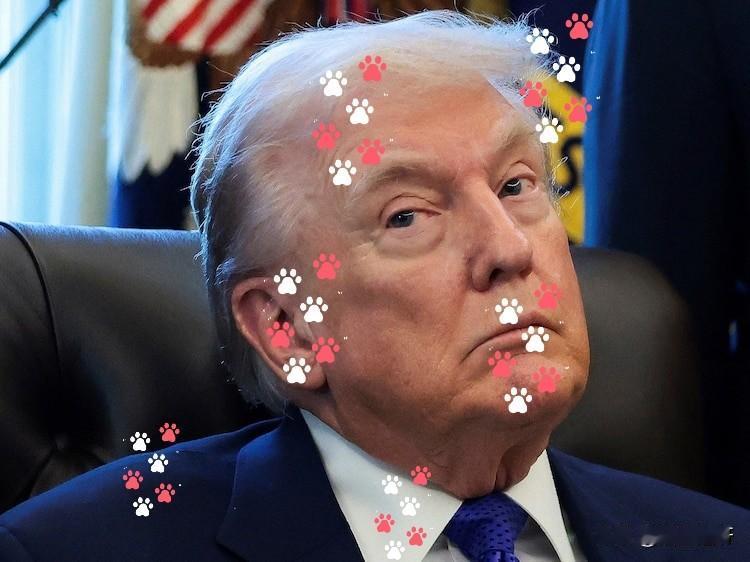 《华尔街日报》掌握了一条信息：阿联酋阿布扎比王室成员向川普的公司World  L