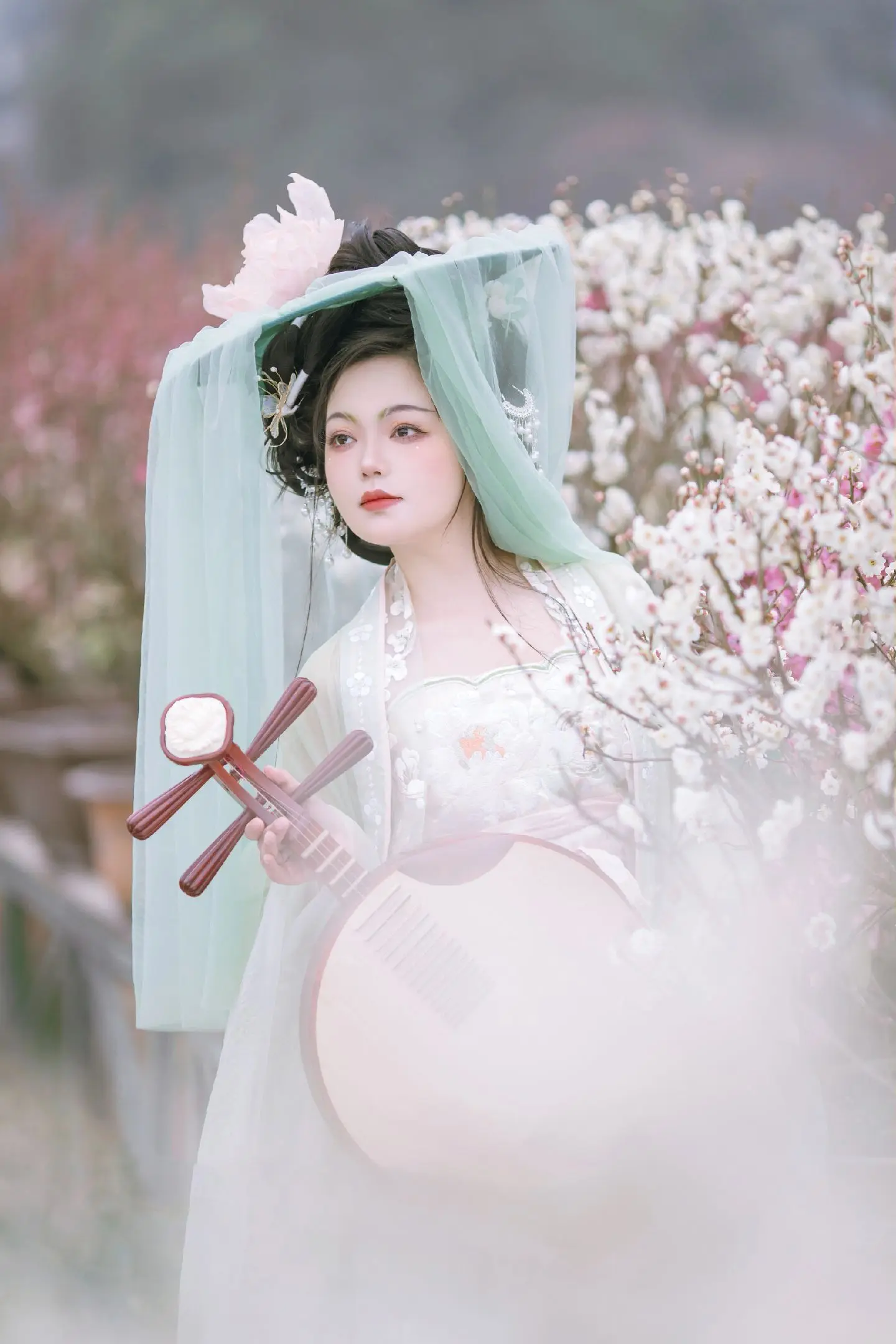 贵妃出游啦~