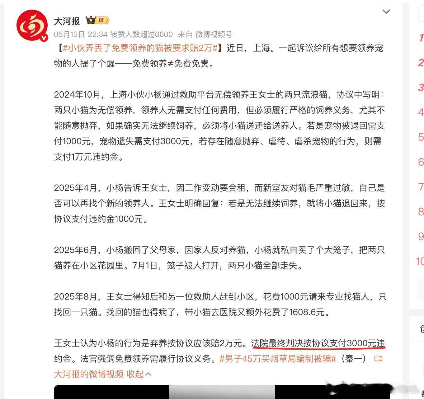 这种脑瓜子落入领养陷井，只能说是福报。目前估计有6000万只流浪猫，大街小巷随处