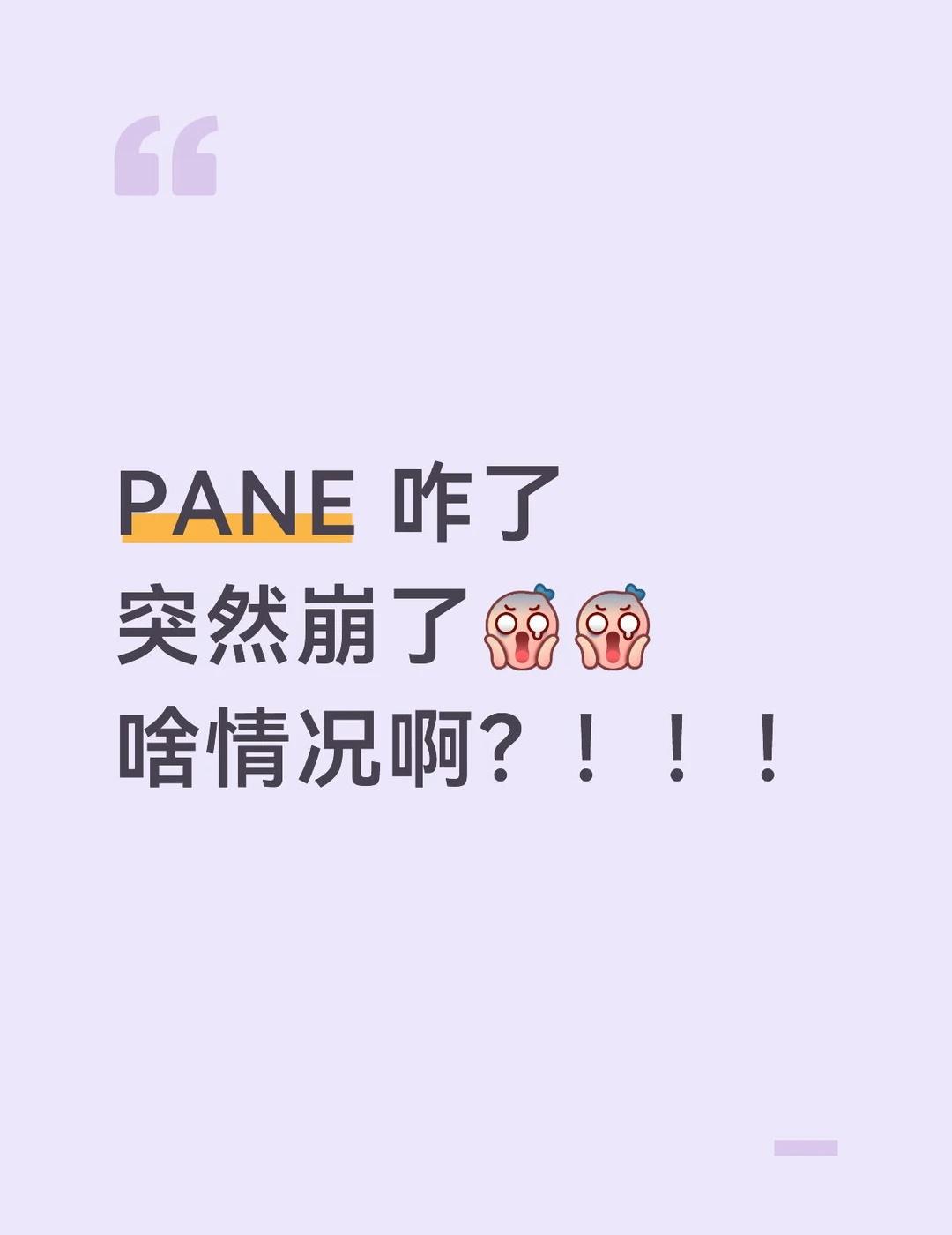 PANE pane pane鞋PANE空气芭蕾鞋轻影系列离地一厘米pane德训鞋