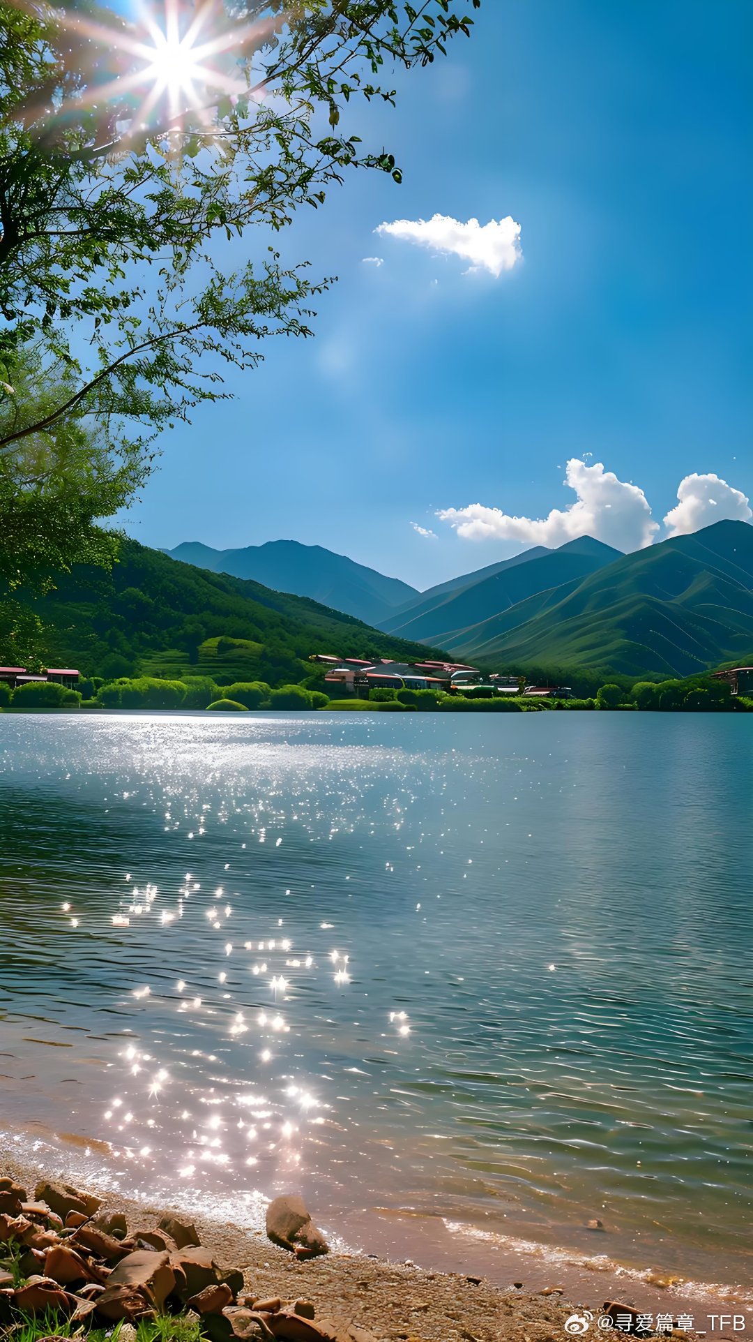 阳光信用☀️ 阳光‬‬信用 ☀️每日‬一善 党的十八大提出，倡导富强、民主、文明