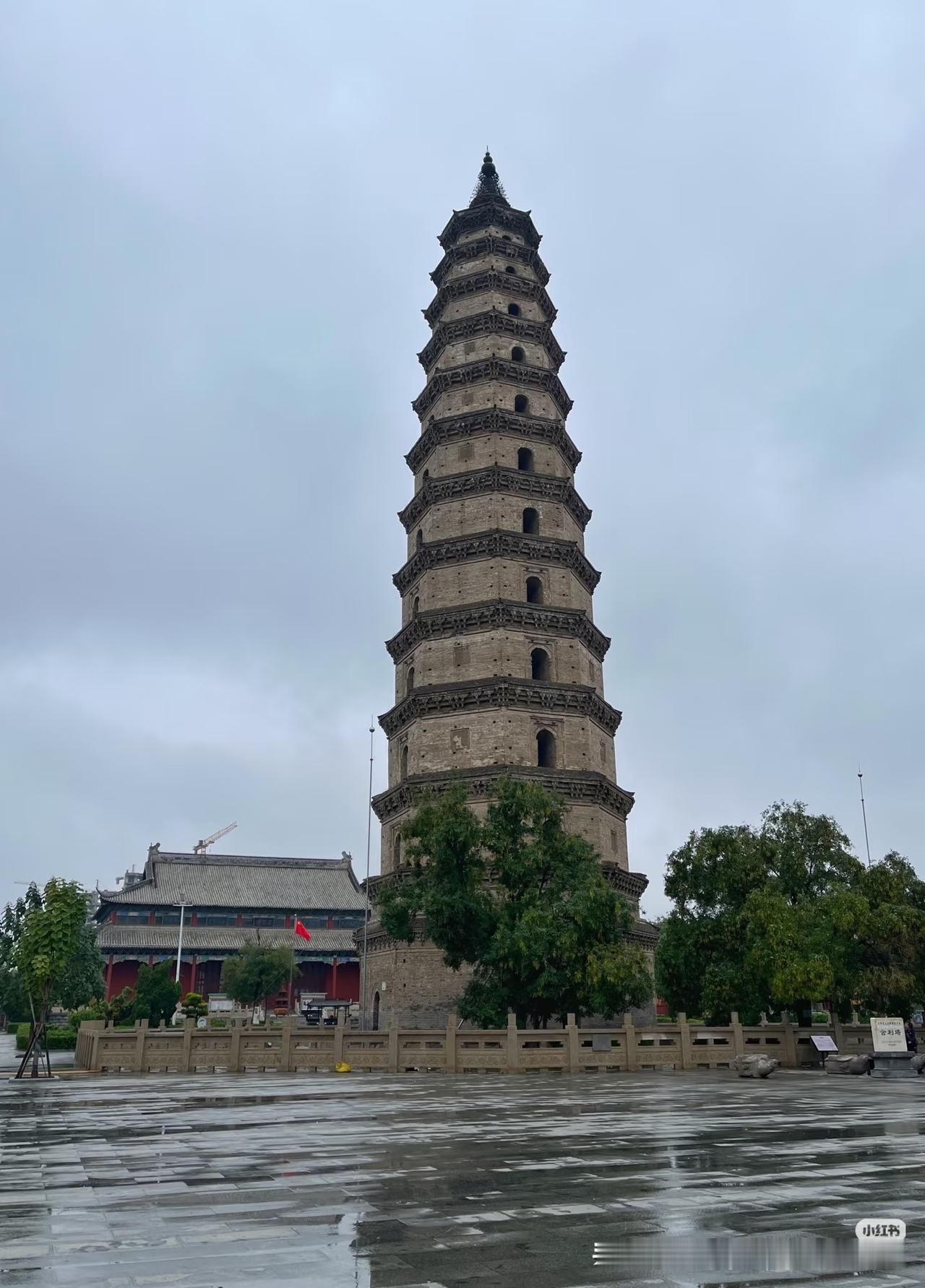 冬日生活打卡季