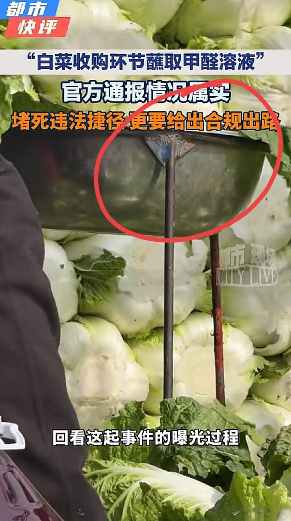 人能坏到啥程度，白菜沾甲醛…[捂脸]
为了延长白菜保质期，他们往白菜上沾甲醛。就