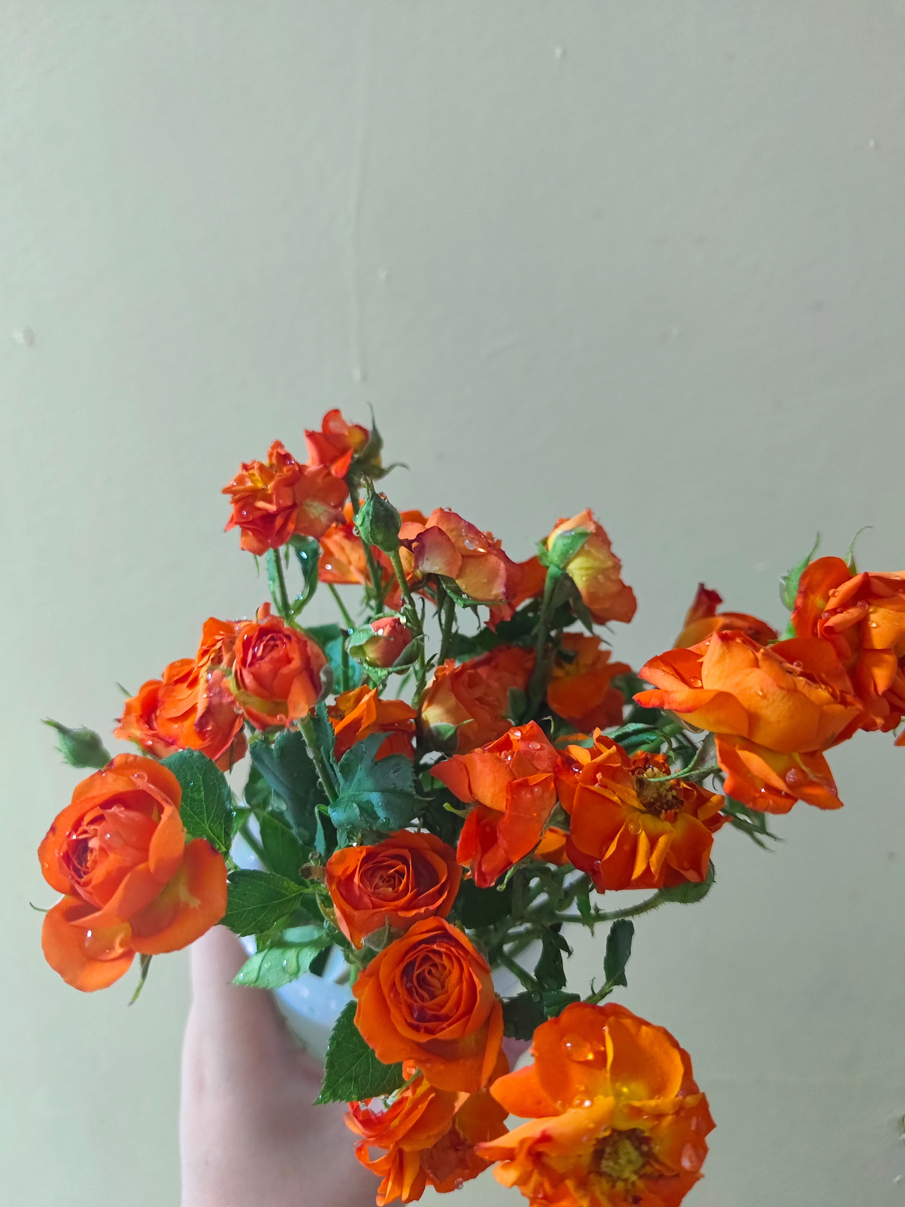 花💐 