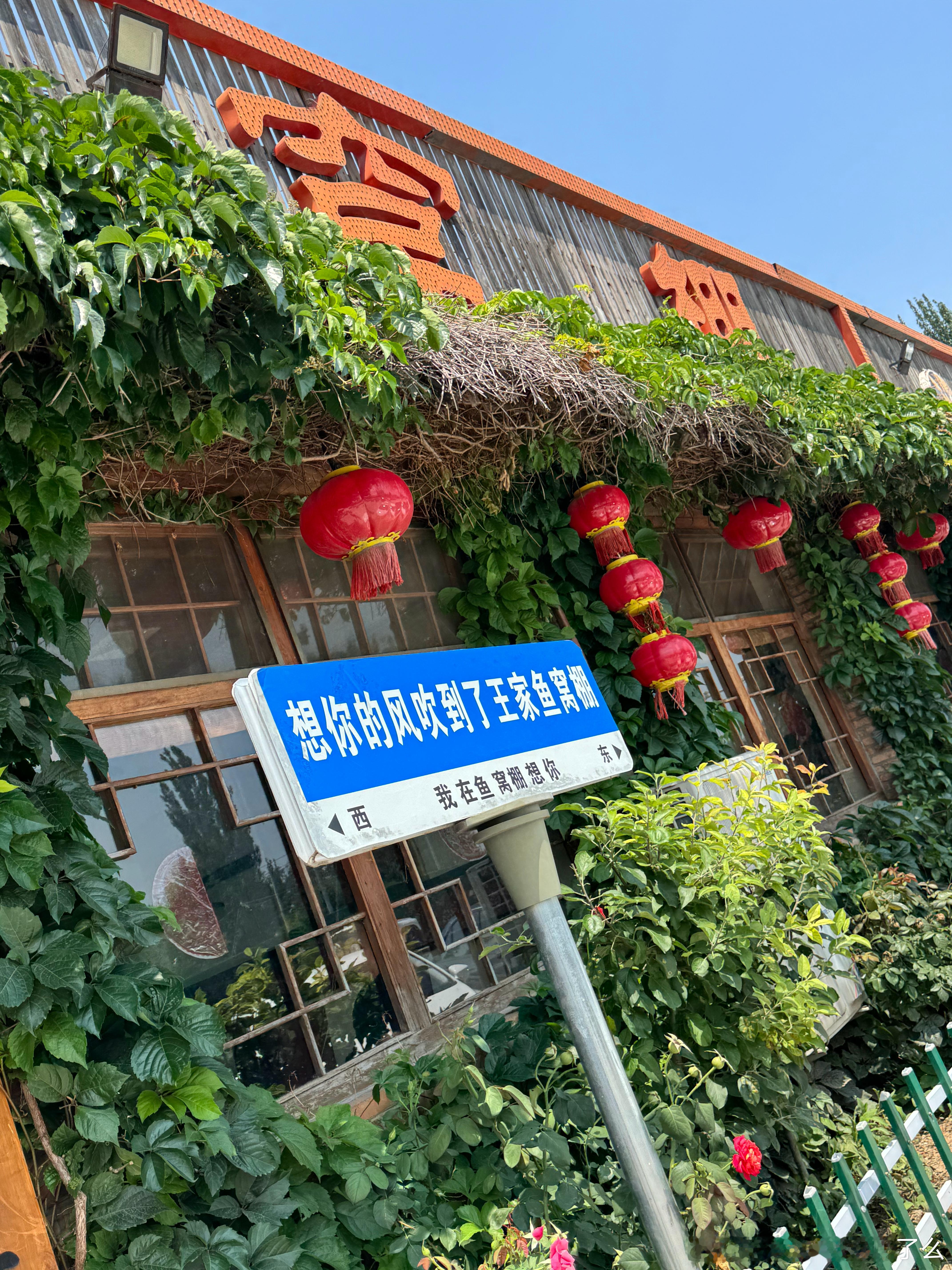 哈哈哈哈哈 这个铁锅炖鱼的店名有点儿东北风味王家鱼窝棚  东北很多地名都有窝棚东