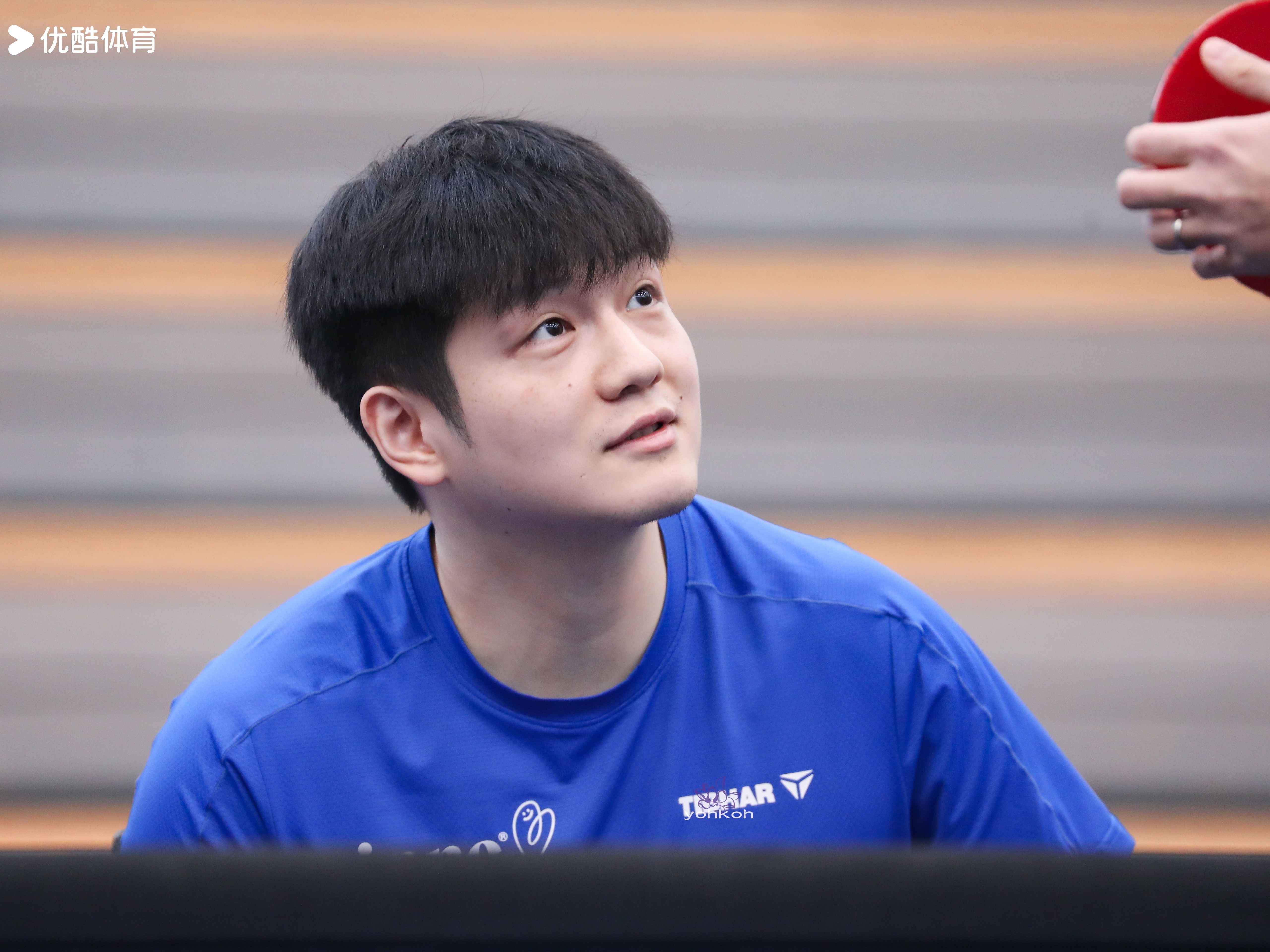 樊振东 樊振东德甲 德甲乒乓球联赛 你的存在即是最最美好东东午安繁星晚好 