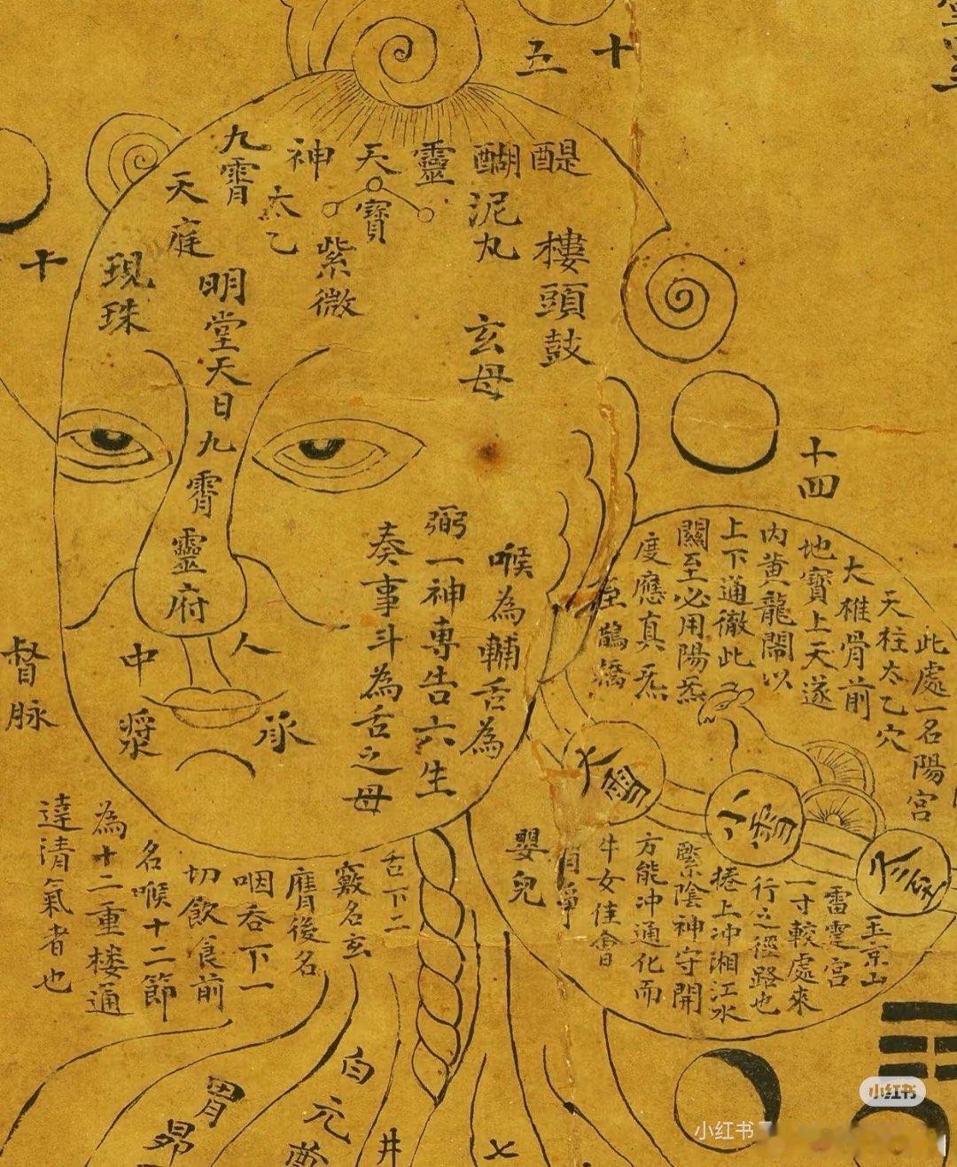 你们快去看最新的小龙探险，这是我关注几年来最惊艳的一期。体会到了中文的强大。“妖