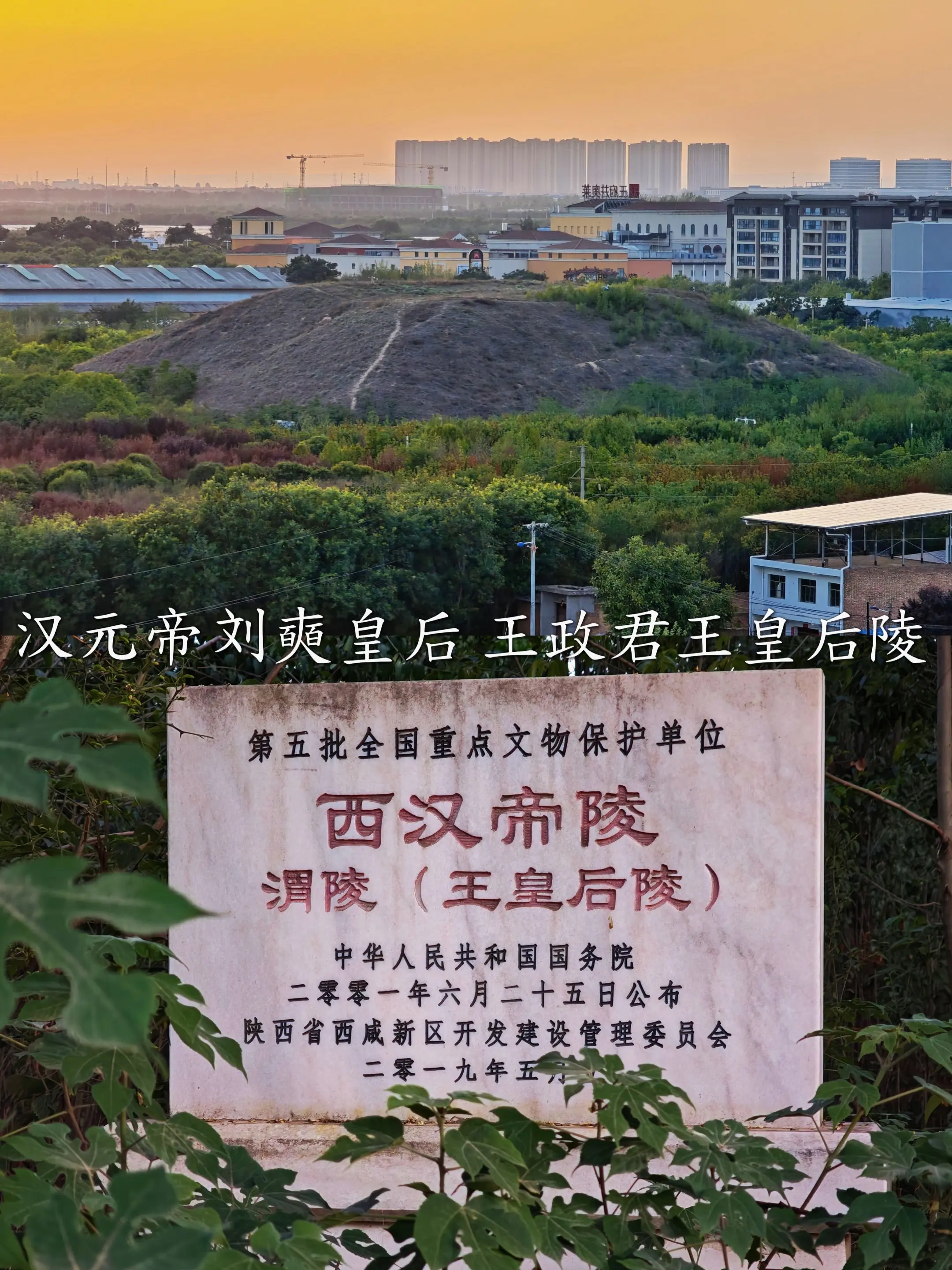 王莽的姑姑汉元帝刘奭的皇后王政君王皇后陵。王政君（前71年-13年）...
