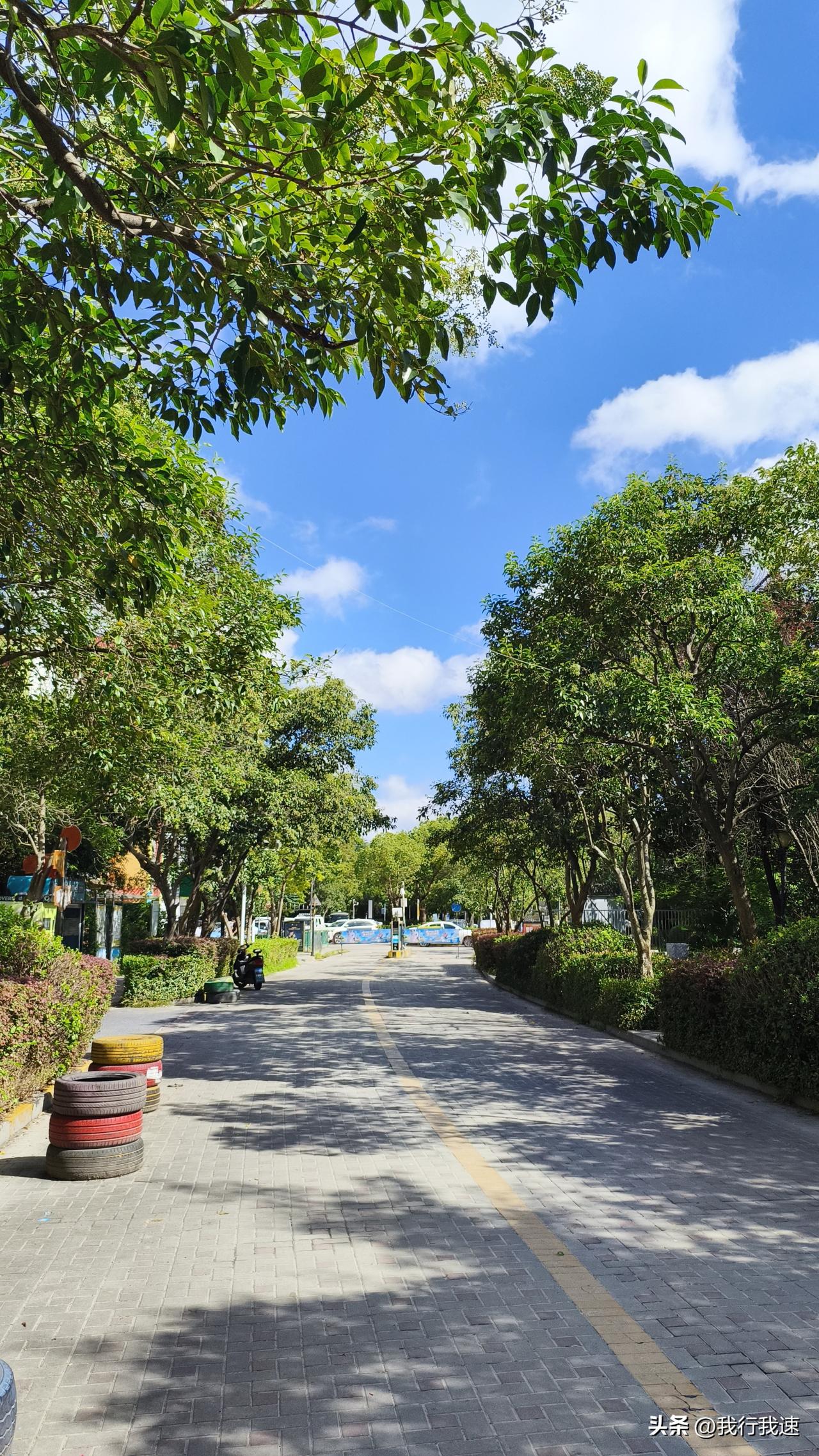 南京这天气，简直是个“任性鬼”！立秋过了，处暑也走了，夏天却像个赖皮糖，死死黏着