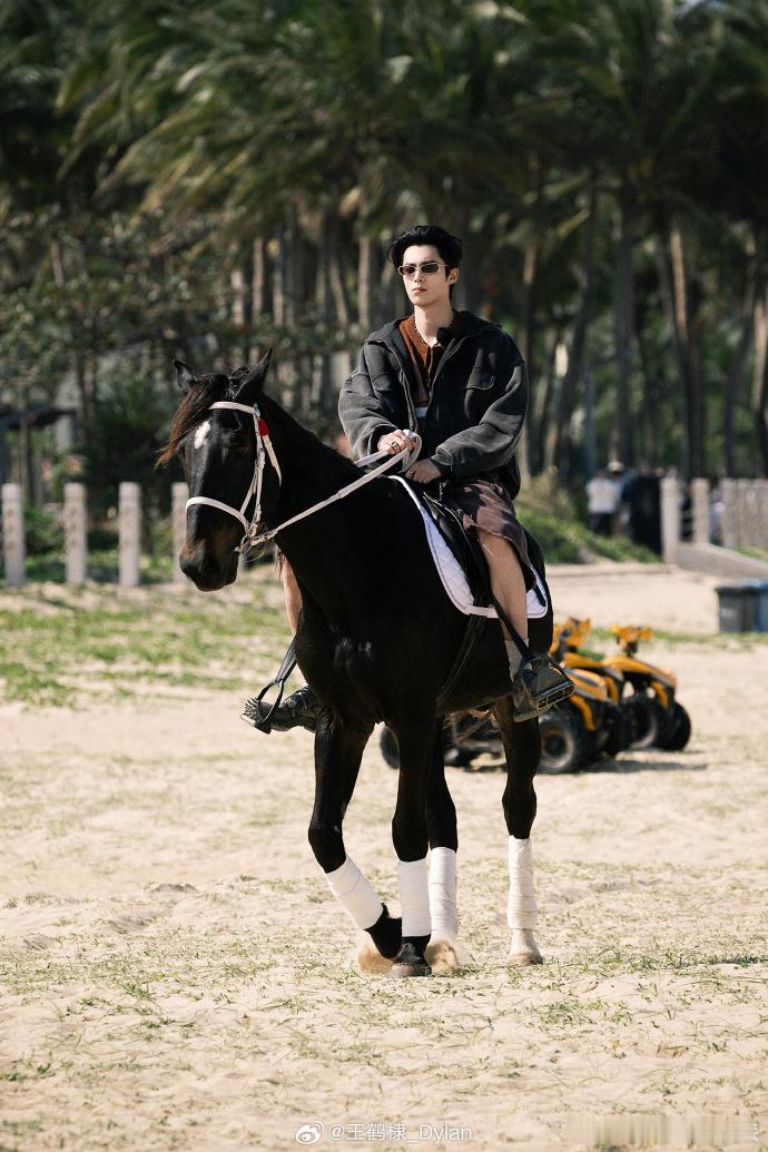 王鹤棣比嘘王鹤棣优雅骏马 王鹤棣比嘘名场面自带记忆点，清冷又随性，骑骏马时身姿优