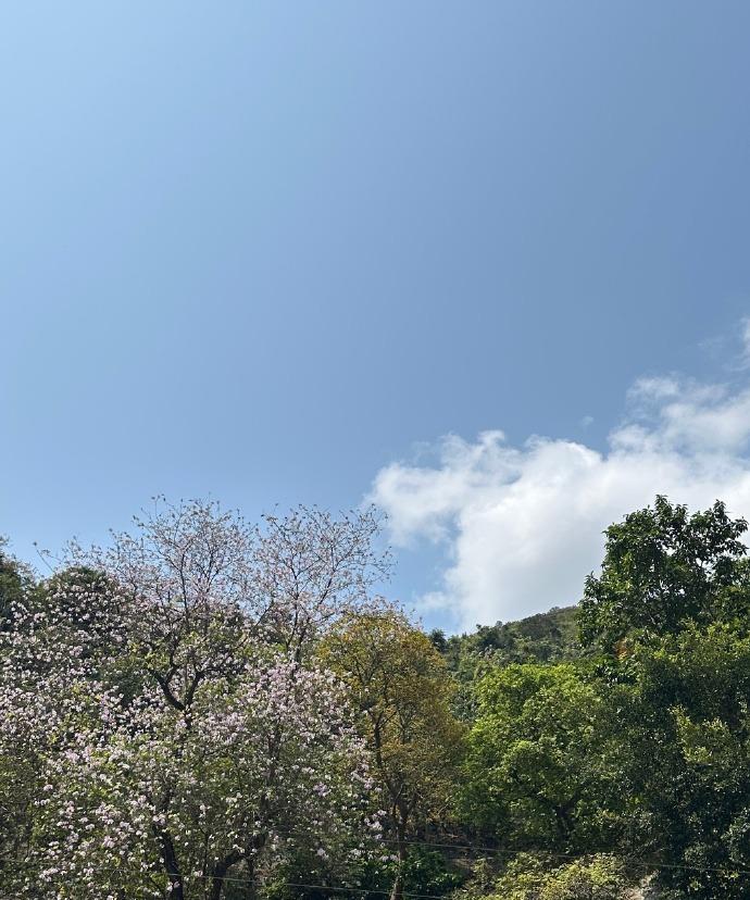 一边是山一边是海


随手拍
香港·香港北角
家乡新鲜事儿 家乡代言人