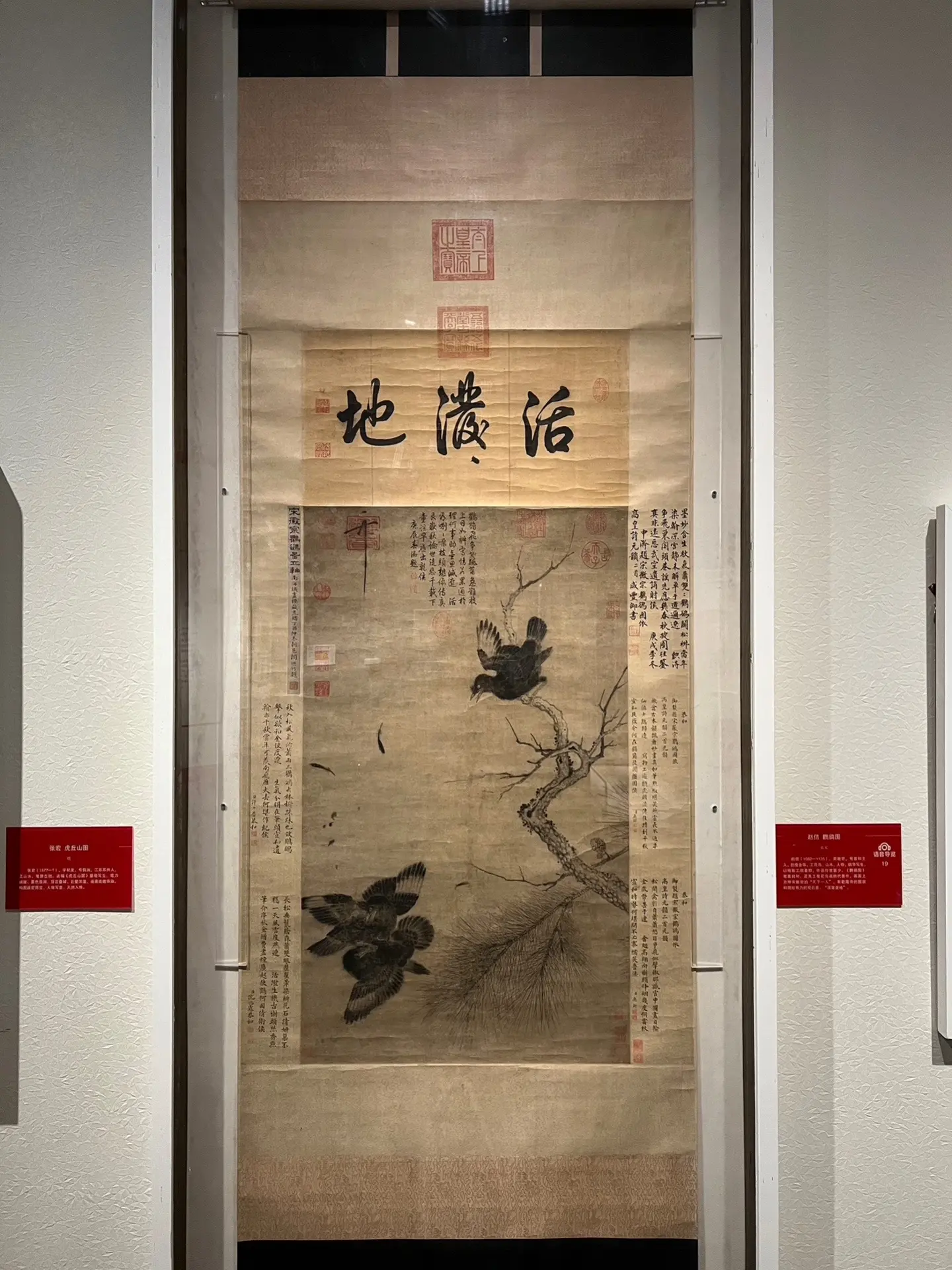 北宋 宋徽宗赵佶《鸜鹆图》北宋 赵佶 《鸜鹆图》 88.2×52cm 南京博物院藏
鸜（qú）鹆（yù）就是民间说的“八哥”，性好斗。赵佶笔下的三只八哥，两只正在激烈相斗，一只在一旁观战。居于上方的那只八哥似暂获优势，但下面那只不甘示弱，正回头过来用嘴狠啄对方向它伸来的利爪。画作真实地表现了它们之间钩钜相搏、毛血飞洒的激斗情景。该画在后世被乾隆、咸丰等人收藏。乾隆在画上着墨“活泼地”，可见对其喜爱之甚。 
宋徽宗赵佶（1082～1135），号宣和主人，宋朝第八位皇帝，在位25年（1100年2月23日～1126年1月18日），书画家。宋神宗赵顼第十一子、宋哲宗赵煦之弟，先后被封为遂宁王、端王。靖康元年（1126年），金军兵临城下，受李纲之言，禅让给太子赵桓，靖康二年（1127年）三月，金军攻破汴京，与钦宗赵桓被金人掳去，北宋由此灭亡。金天会十三年（1135年）死于五国城，终年54岁。宋徽宗自创一种书法字体被后人称之为“瘦金体”，他热爱画花鸟画自成“院体”。是古代少有的艺术天才与全才。
