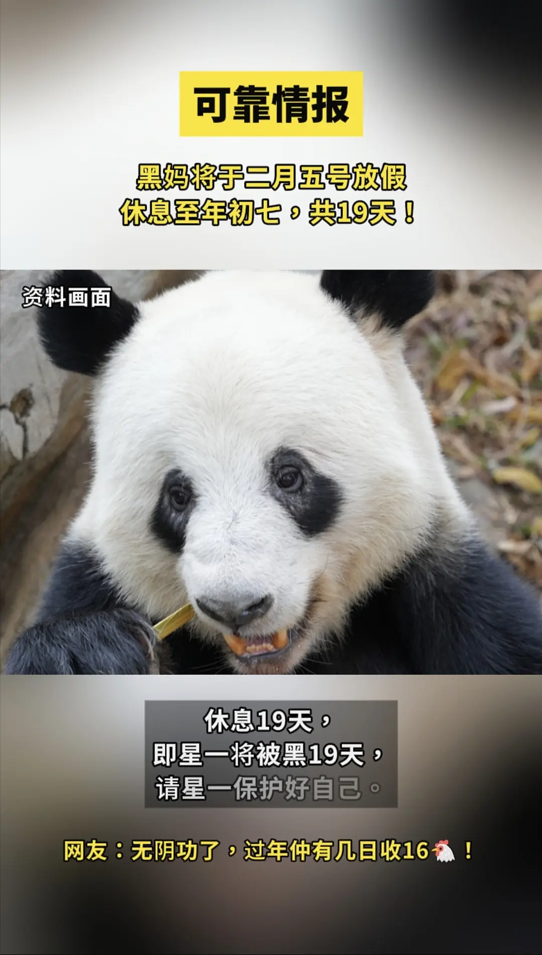 星一:咁我仲洗过年嘅？过年仲要16🐔成个动物园分！