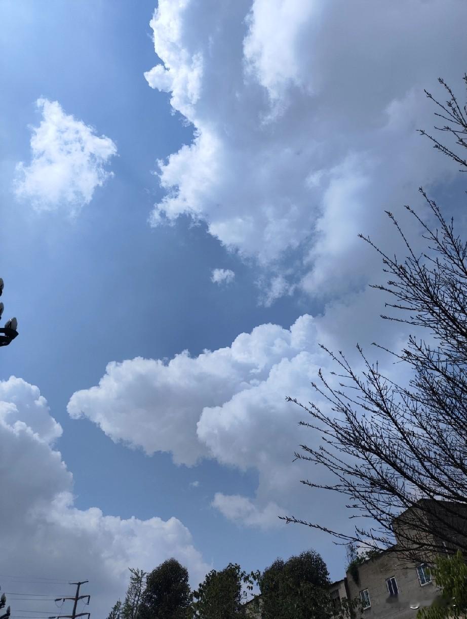 走在路上，这片天空一下子就把我给留住了。

那天空蓝得透亮，大朵大朵的云在上面慢