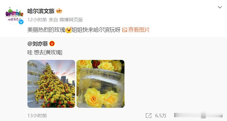哈尔滨文旅回复刘亦菲  回复美丽热烈的玫瑰[哇]姐姐快来哈尔滨玩呀~ 