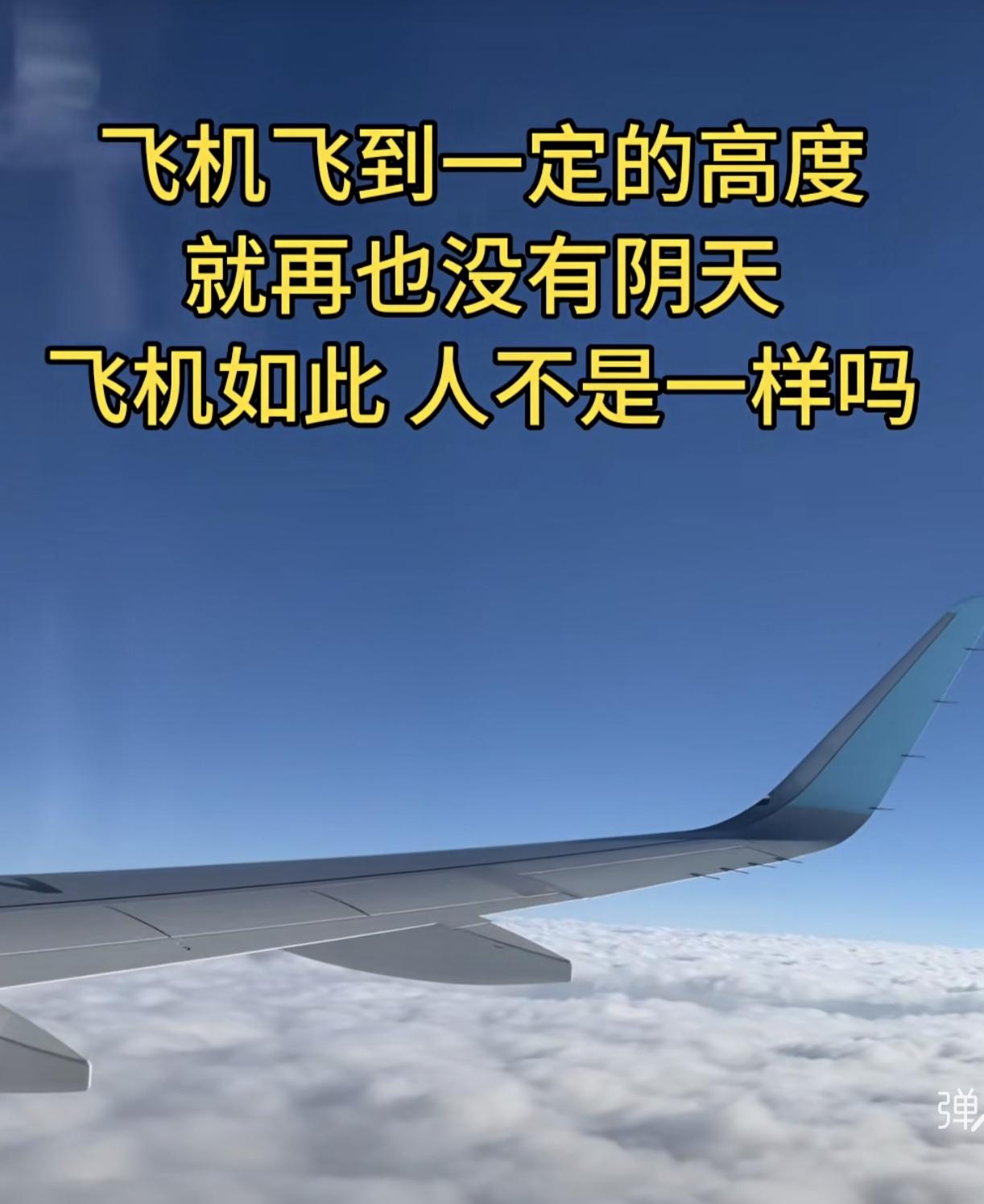 您说呢？