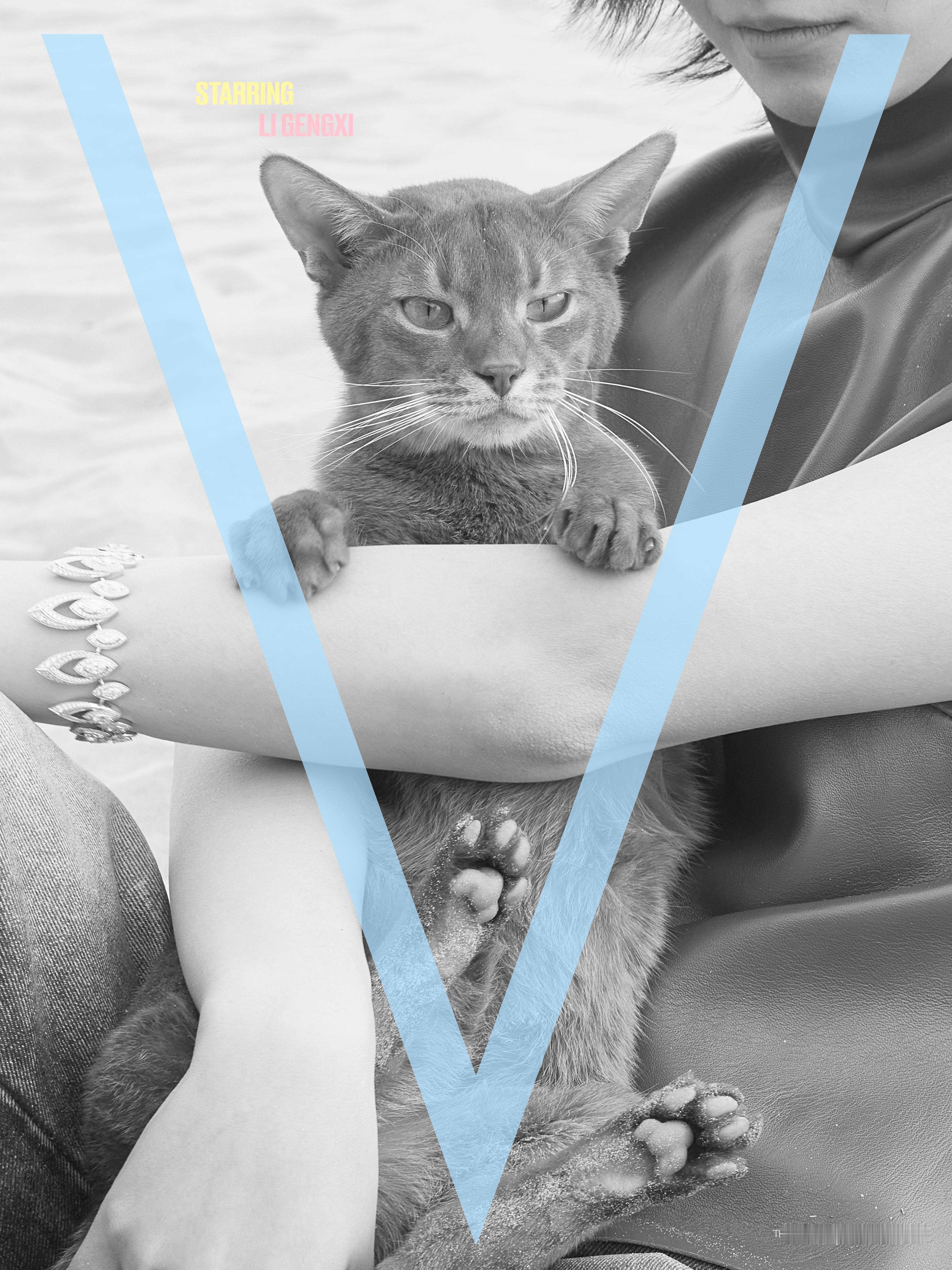 李庚希佩戴Messika登上V六月刊李庚希V中文版六月刊封面预告VGO加载大地