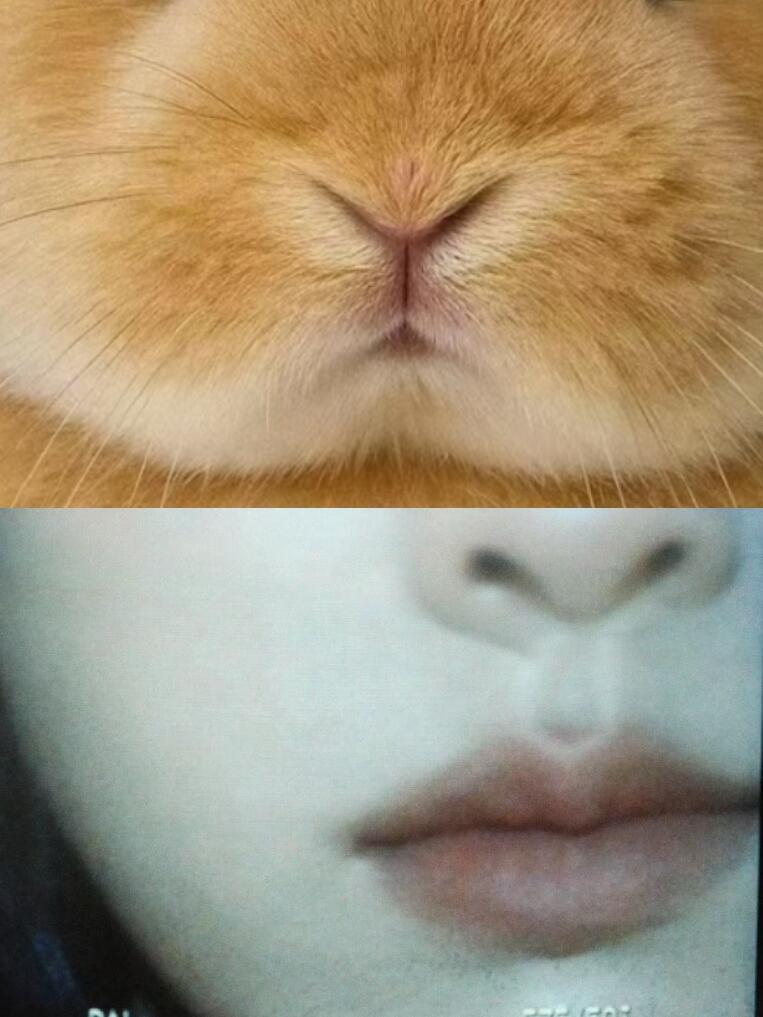 陈都灵这已经不是兔塑的问题了陈都灵好伟大的兔塑啊，不知道还以为两张图都是陈都灵呢