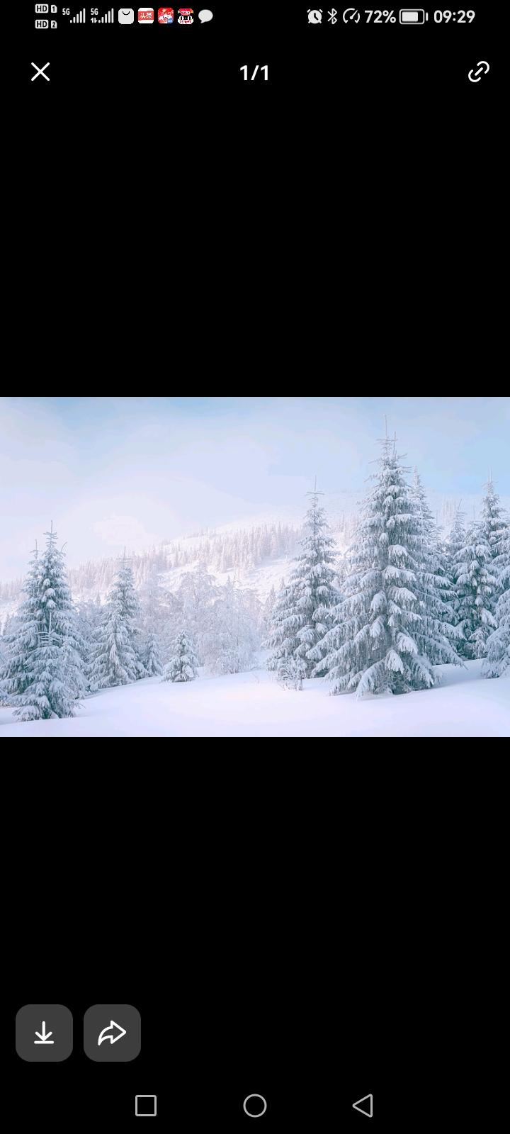 说一句带‘雪’的诗句风雨送春归，飞雪迎春到。已是悬崖百丈冰，犹有花枝俏