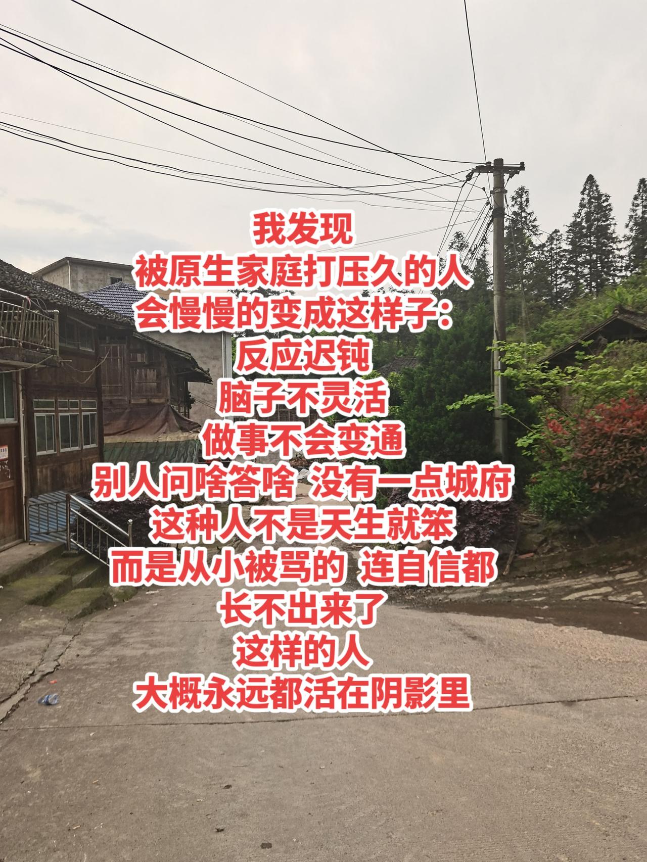 乡村生活碎片 童年 原生家庭 治愈 童年回忆