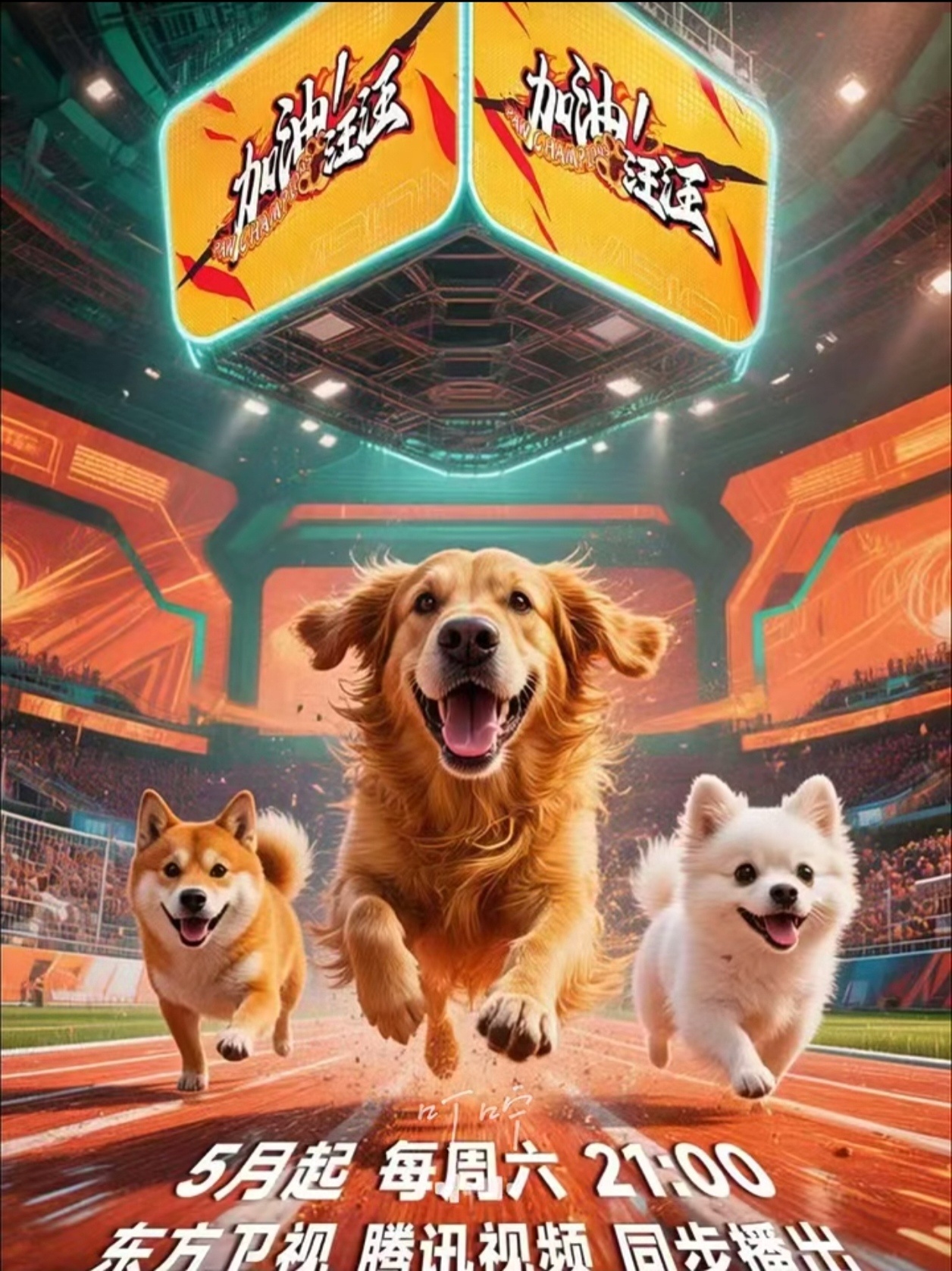 刘涛的加油汪汪五月就播了啊，还以为要等到六月 